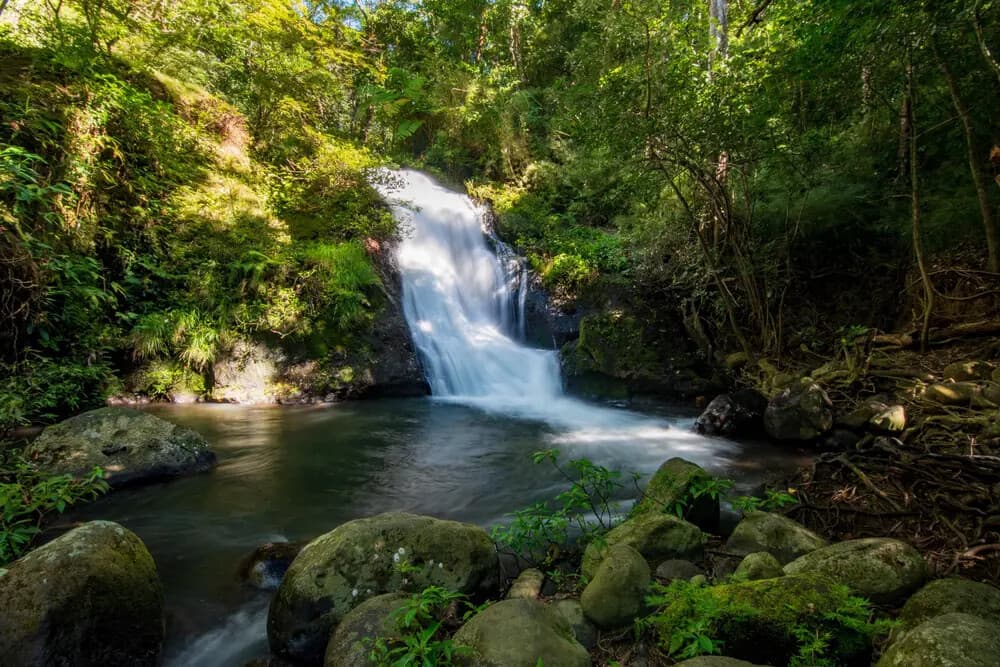 Chasing Turquoise: One Day Waterfalls Expedition at Hacienda Guachipelin, Guanacaste photo 2