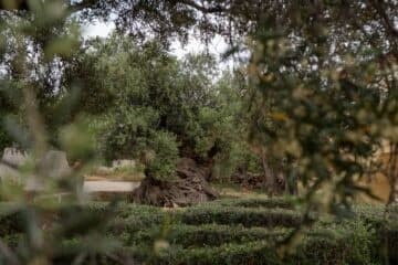 Cretan Land Adventures with Mitos Tours