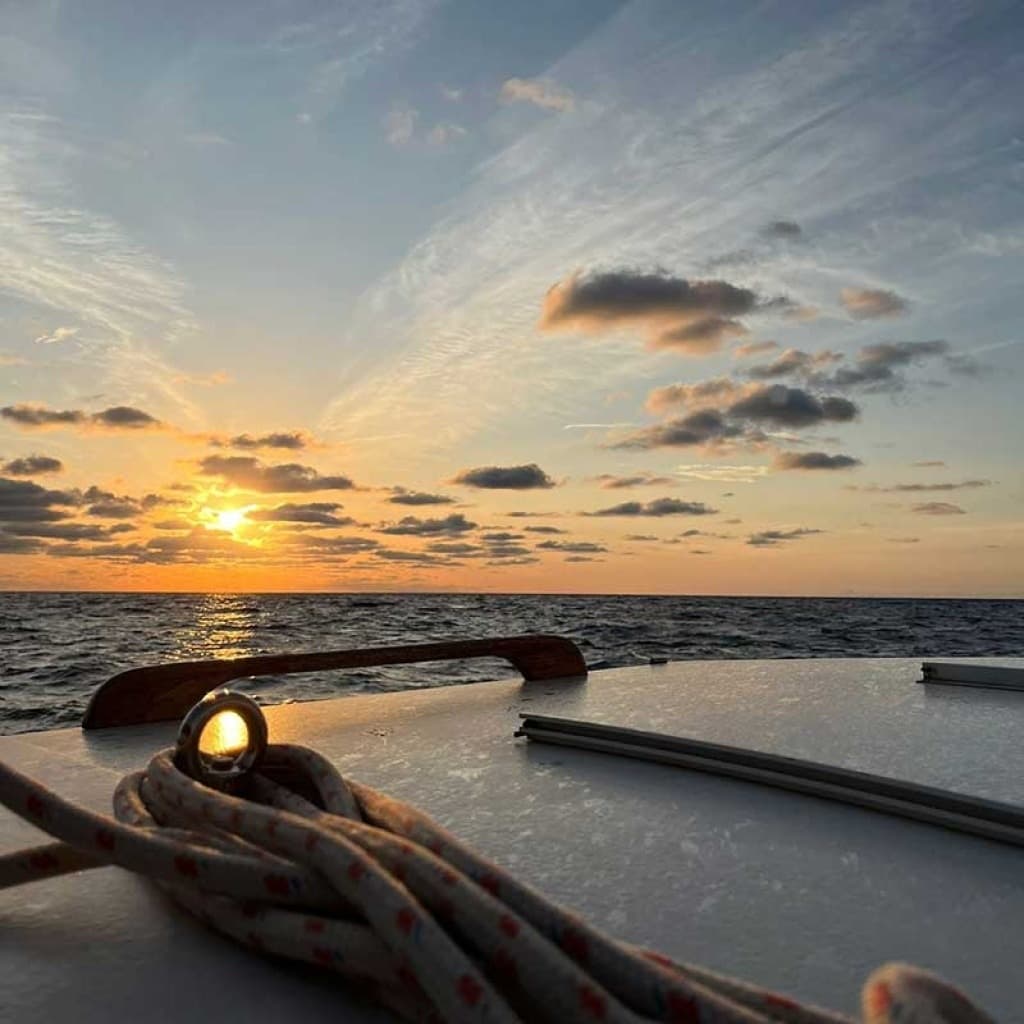SC Petit Charter SL fleet