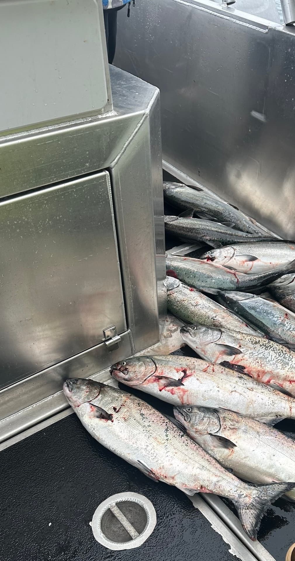 Salmon Fishing Adventure in Seward, Alaska