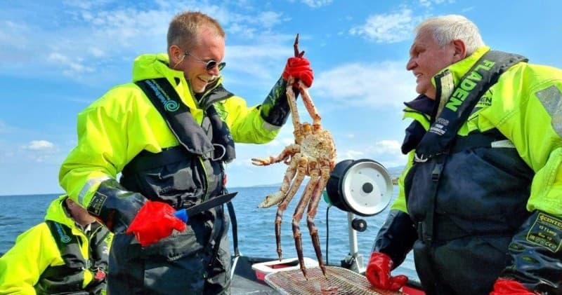 King Crab Safari Adventure with Visit Bugoynes in Norway