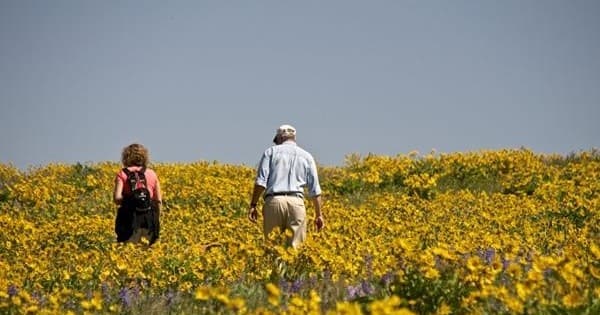 Wine And Wildflowers Of The Rowena Plateau (Spring)