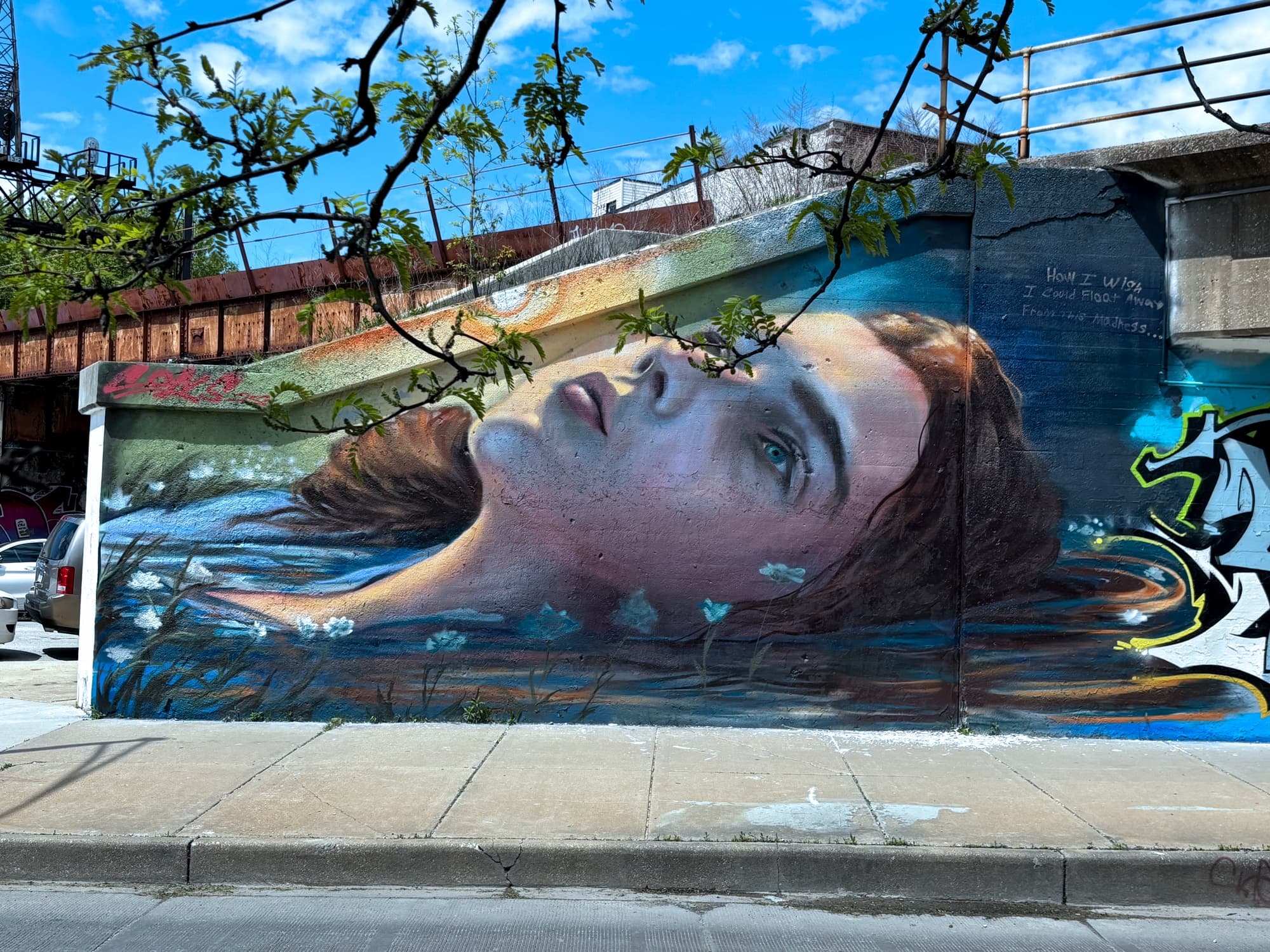Explore Chicago's Offbeat Street Art Tour of Fulton Market