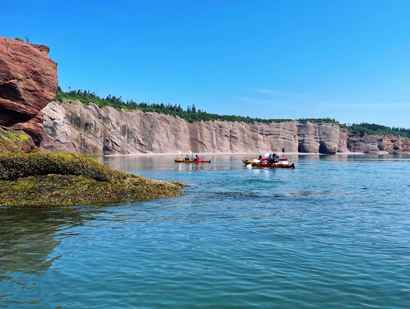 Bay of Fundy Adventures team