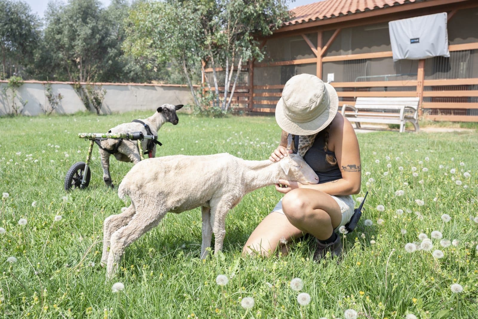 Private Sanctuary Tour in Acton, California