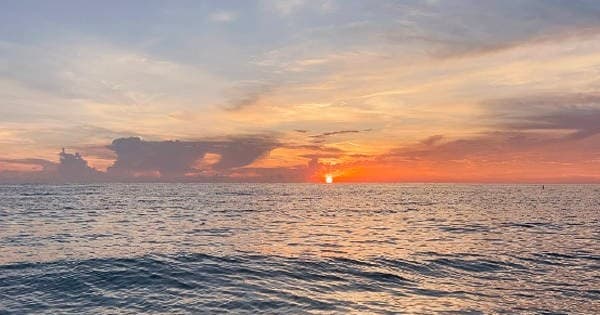 Sunset Cruise with Island Life Excursions in Tierra Verde
