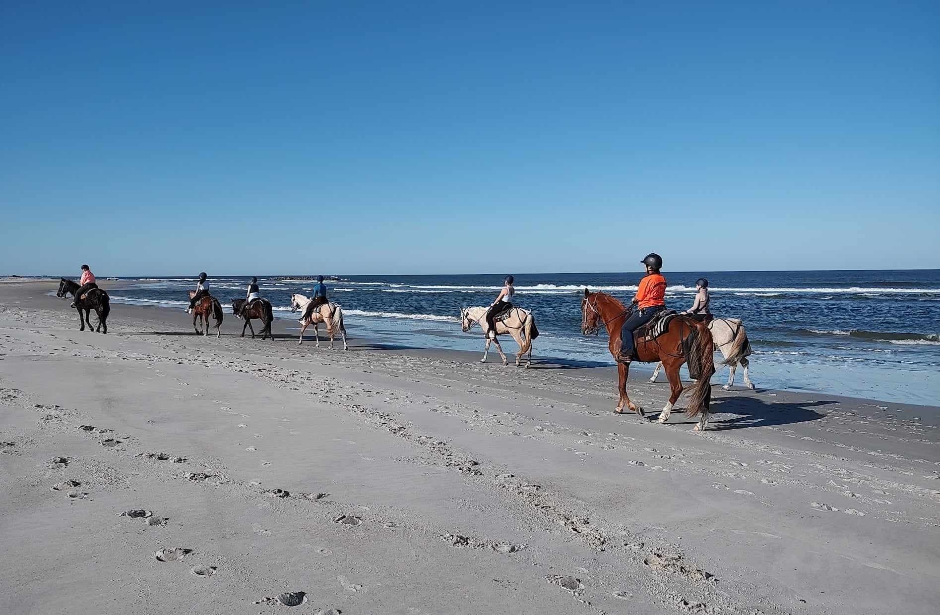 Water Activities & Happy Trails Walking Horses on Amelia Island