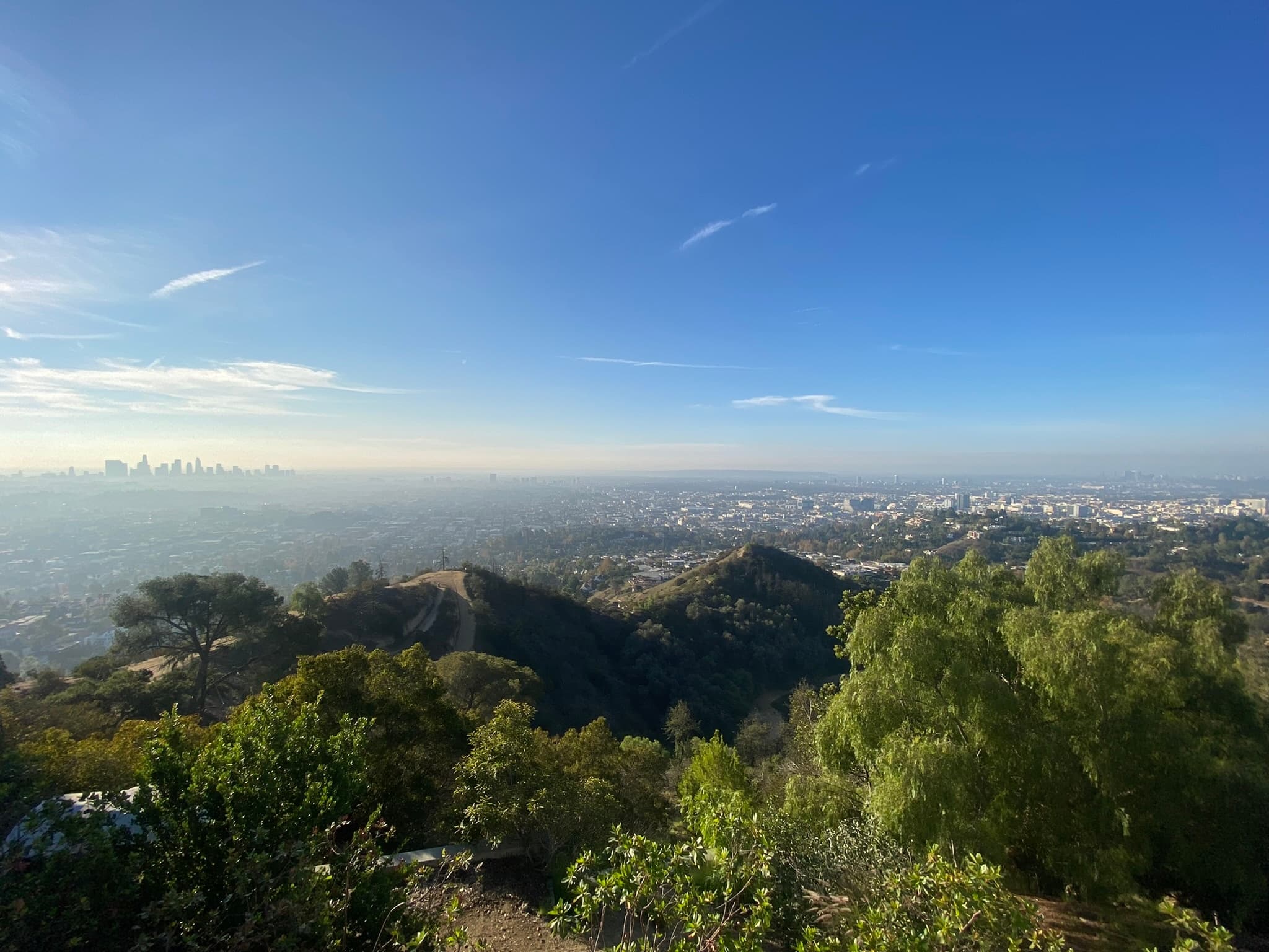 Hilltop overlook showing city skyline and rolling hills