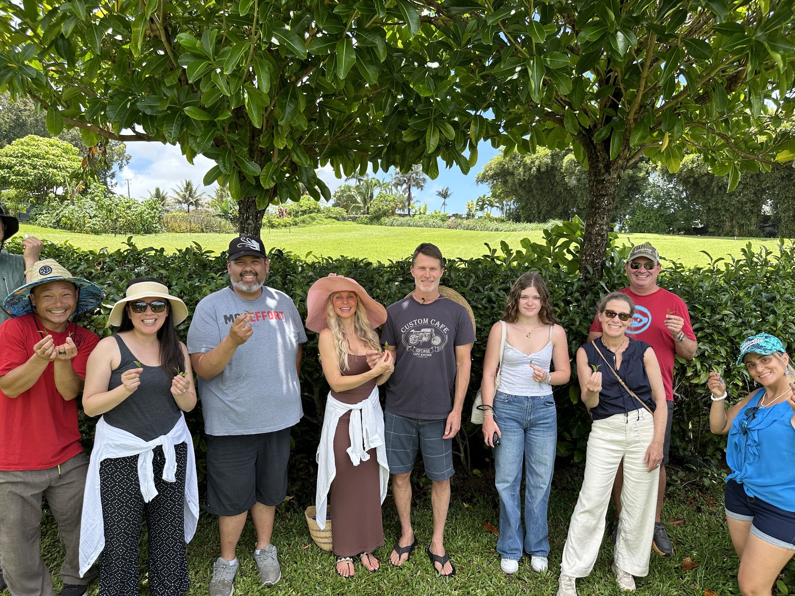 Land Adventures at Ancient Leaf Tea: Walking Tour of Tropical Fields