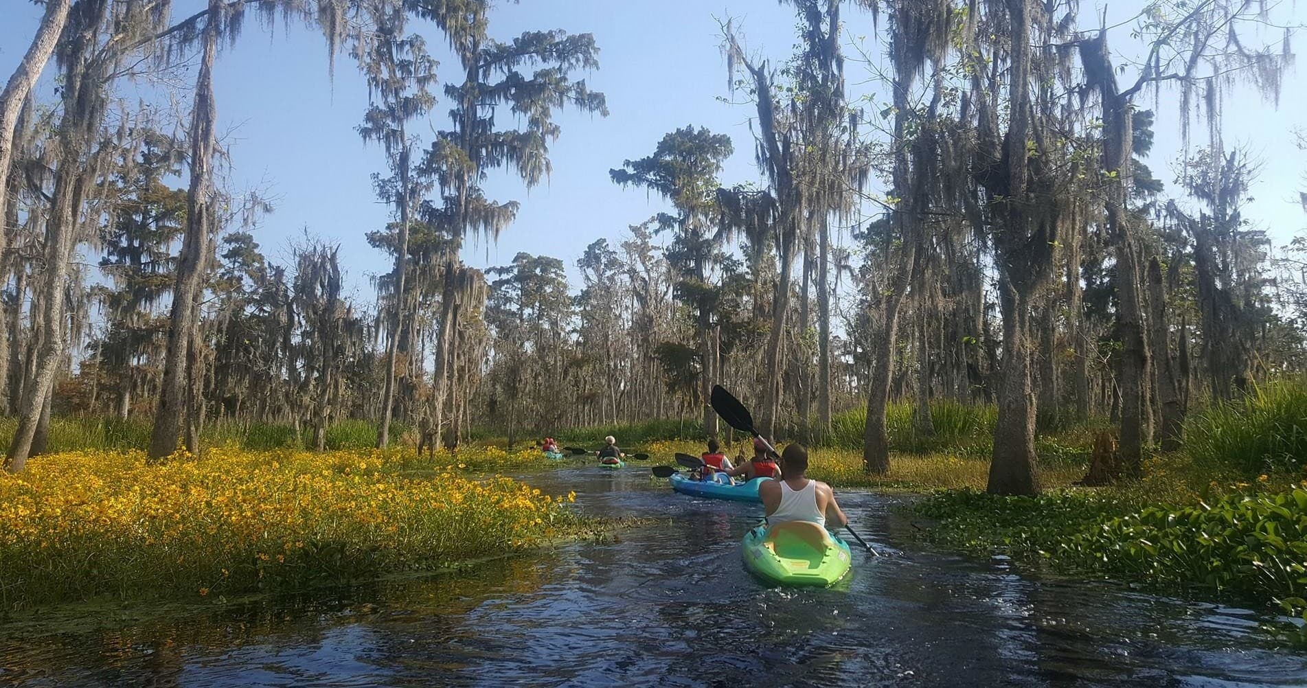 Kayak Tour of Honey Island Swamp with Honey Island Kayak Tours