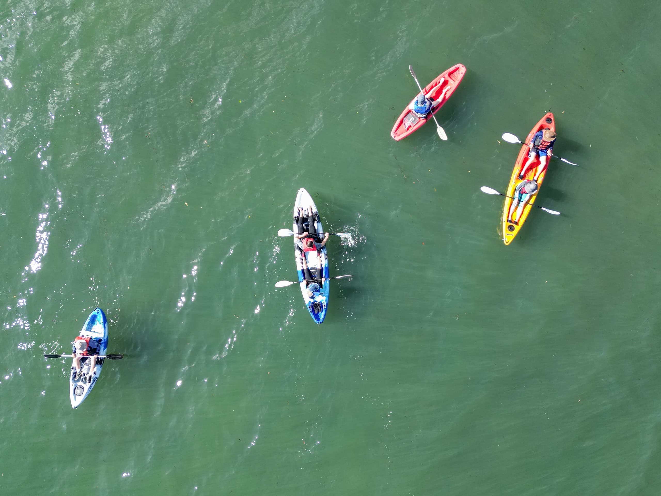 Aerial view of kayakers paddling in open coastal waters