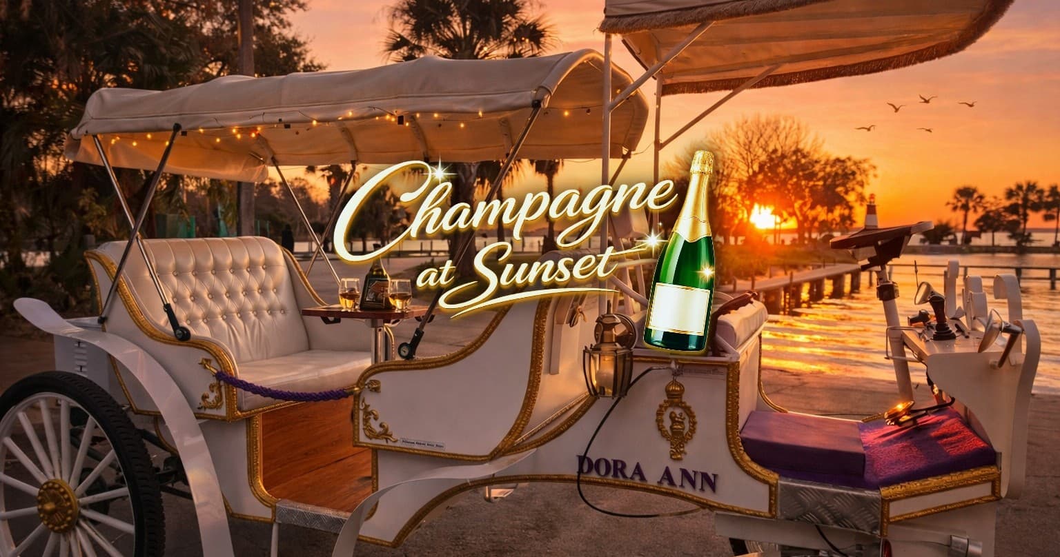 Sunset Carriage Ride on Lake Dora: Prosecco & Keepsake Photo in Mount Dora