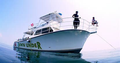 Dive charter boat anchored offshore with crew preparing gear