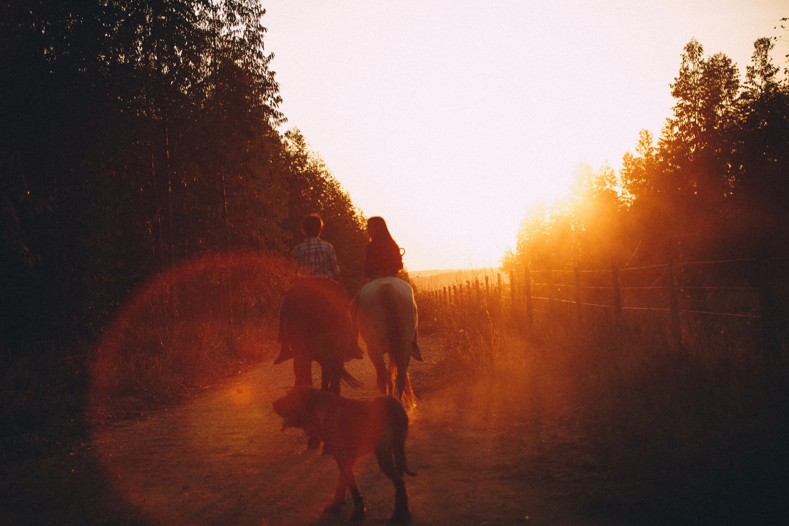Horseback Riding & History at Keystone Trail Rides in Gettysburg