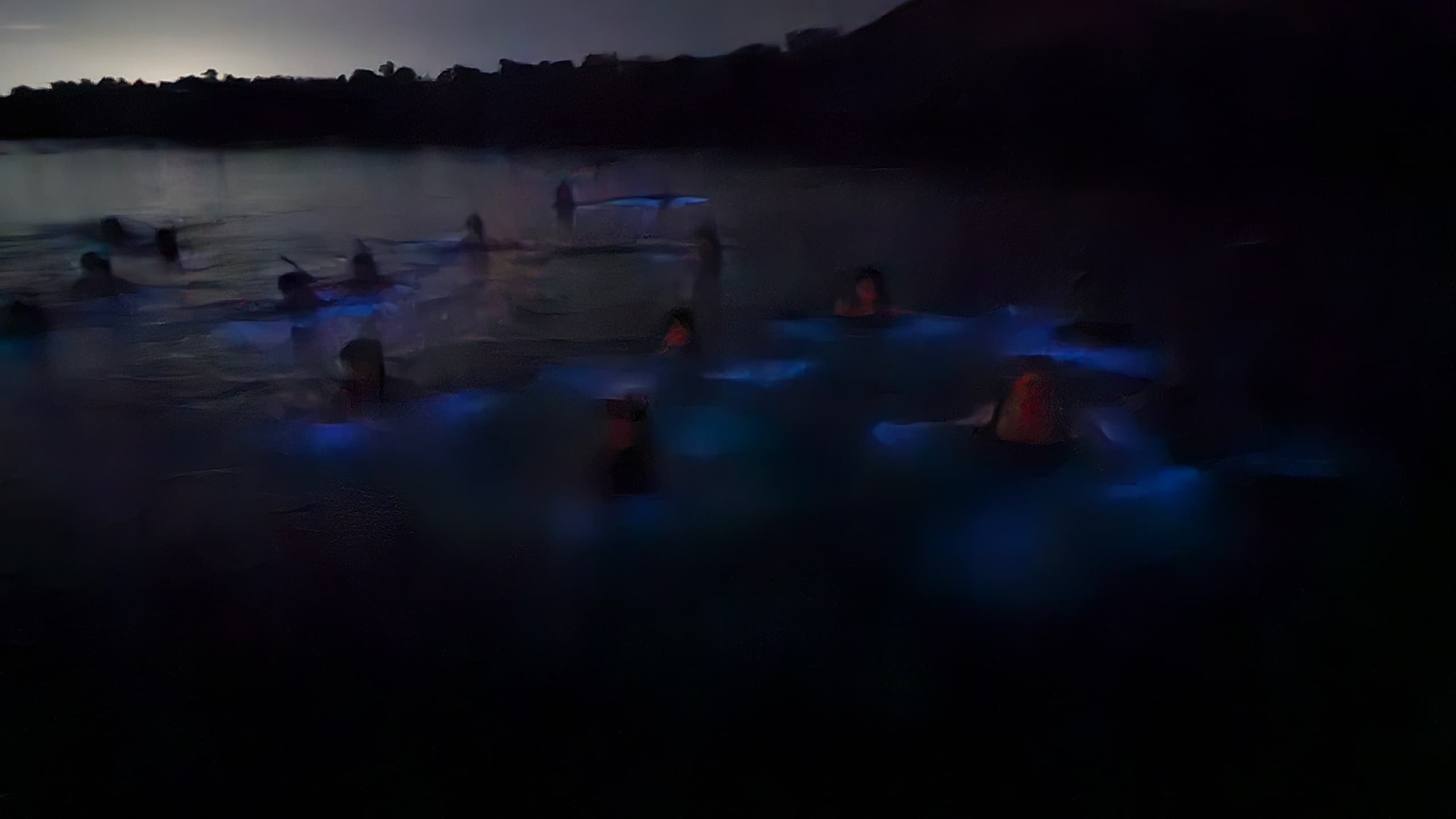 Bio Bay Night Swim with Unique Quality Tours