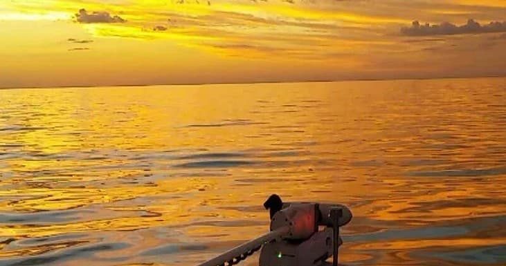 Sunset Charter with Runnin' The Flats in Naples, FL