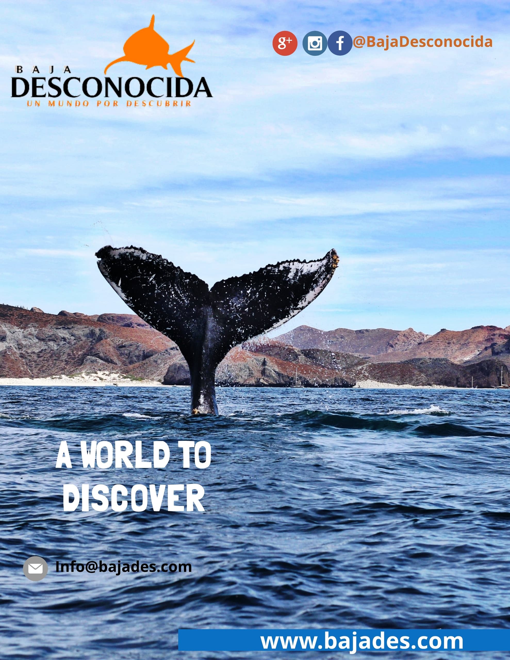 Water Activities in Baja Desconocida with Expedición Baja
