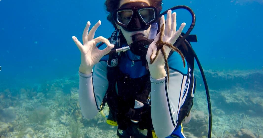 Scuba diver signaling OK underwater over coral reef, clear water