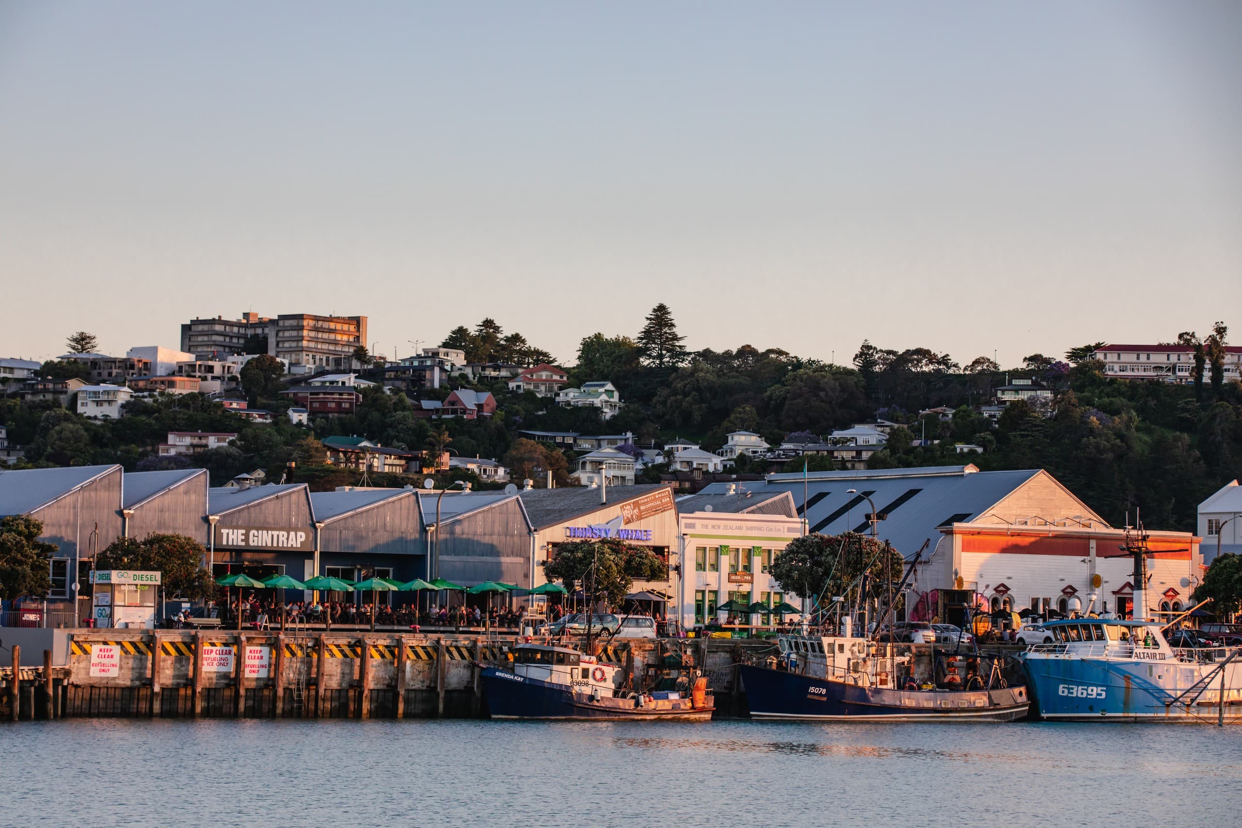 Pedal Napier: Art Deco Streets, Ahuriri Estuary Birds & Coastal Cafes photo 4
