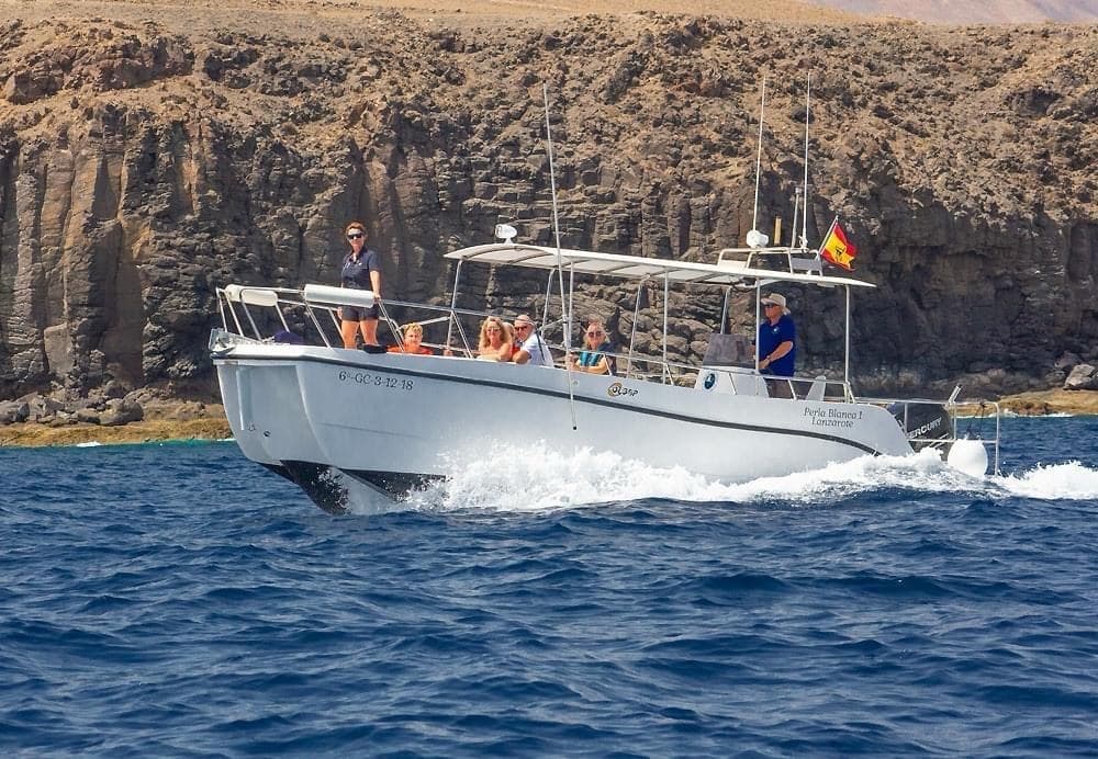 Midday Sea Safari with Sea Safaris Lanzarote