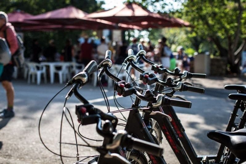Electric Scooter Through Marais Poitevin: 1.5-Hour Guided Ride from Magné