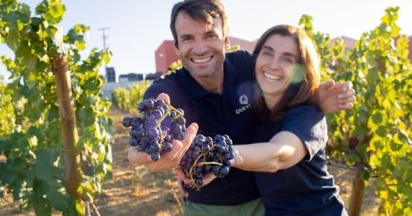 Douro Valley Harvest Tour by Farm Experiences & Tours