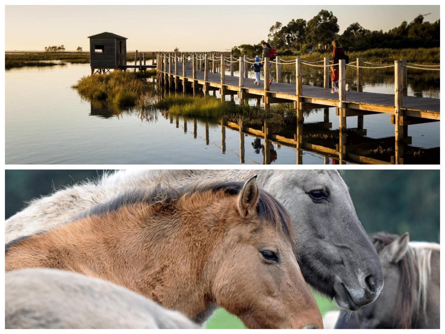 Land Adventures with Loving Tour in Ria de Aveiro
