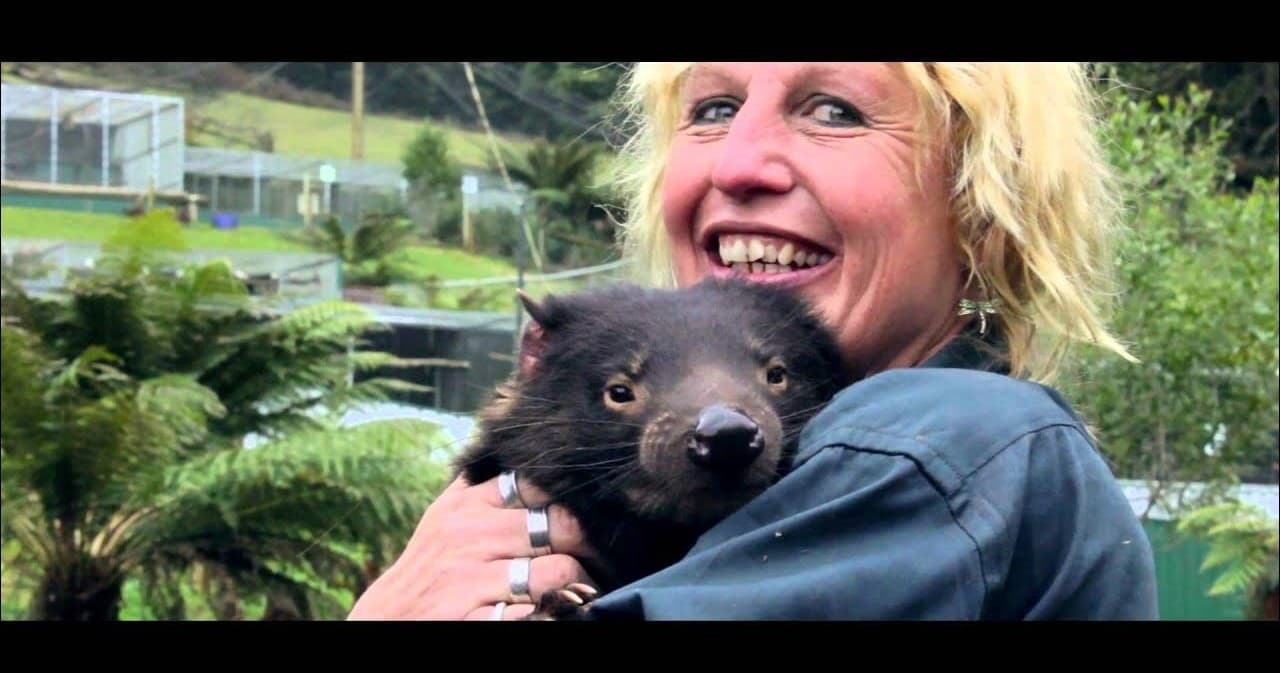 Keeper holding Tasmanian devil for wildlife encounter outdoors