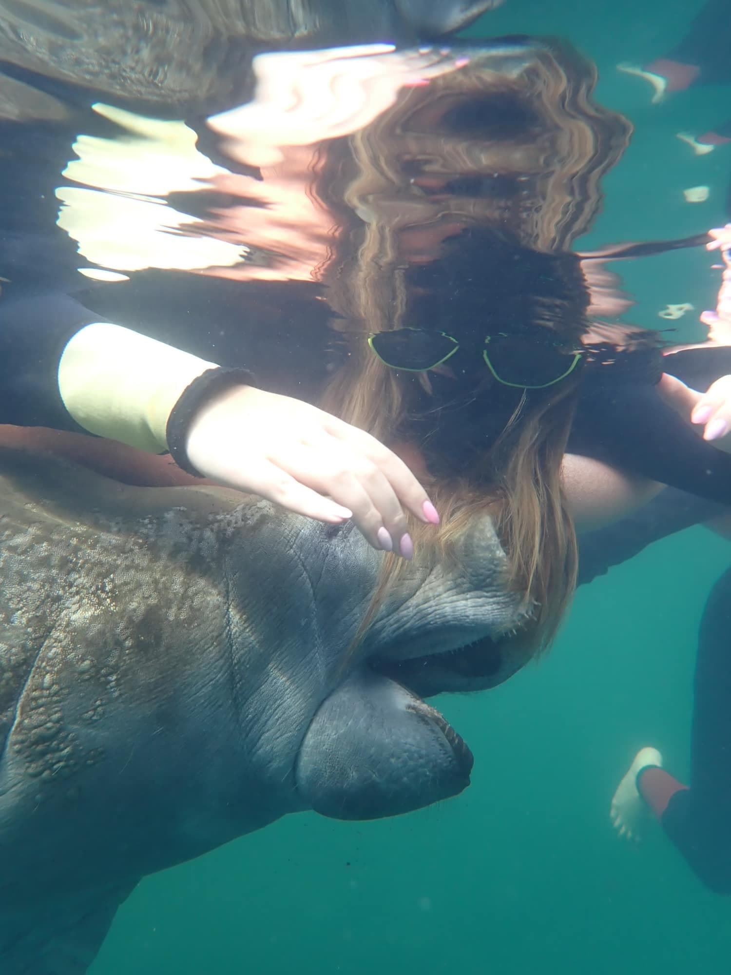 Swim with Manatees in Homosassa Springs: 3-Hour Guided Tour with Captain Janice photo 2