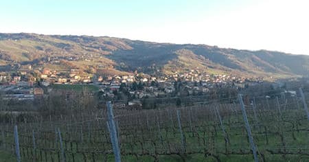 Chianti Wine & Truffle Hunt with Under The Tuscan Sun Tours