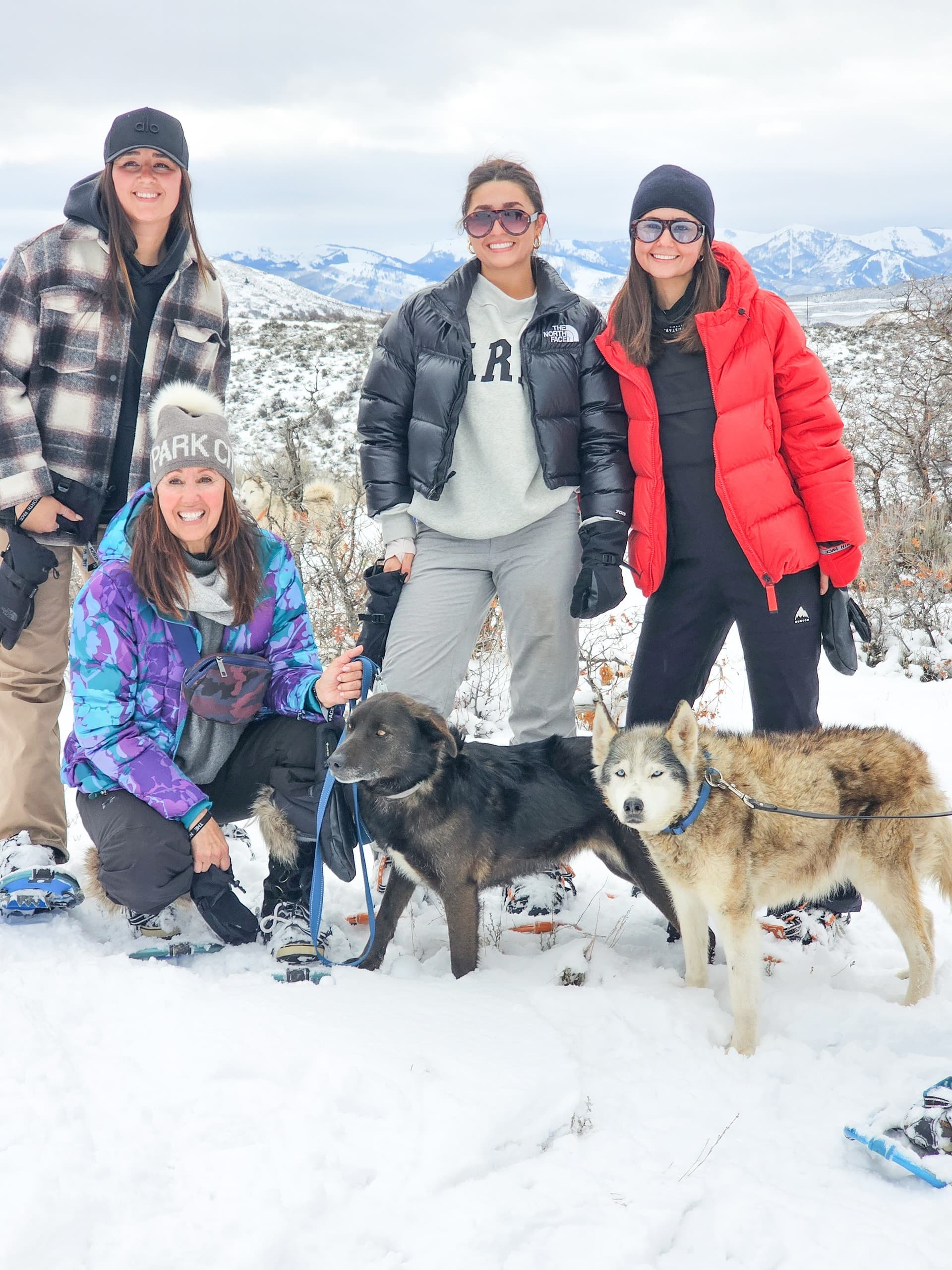 Snowshoeing with Retired Sled Dogs at the Ranch: A Heartwarming Winter Hike