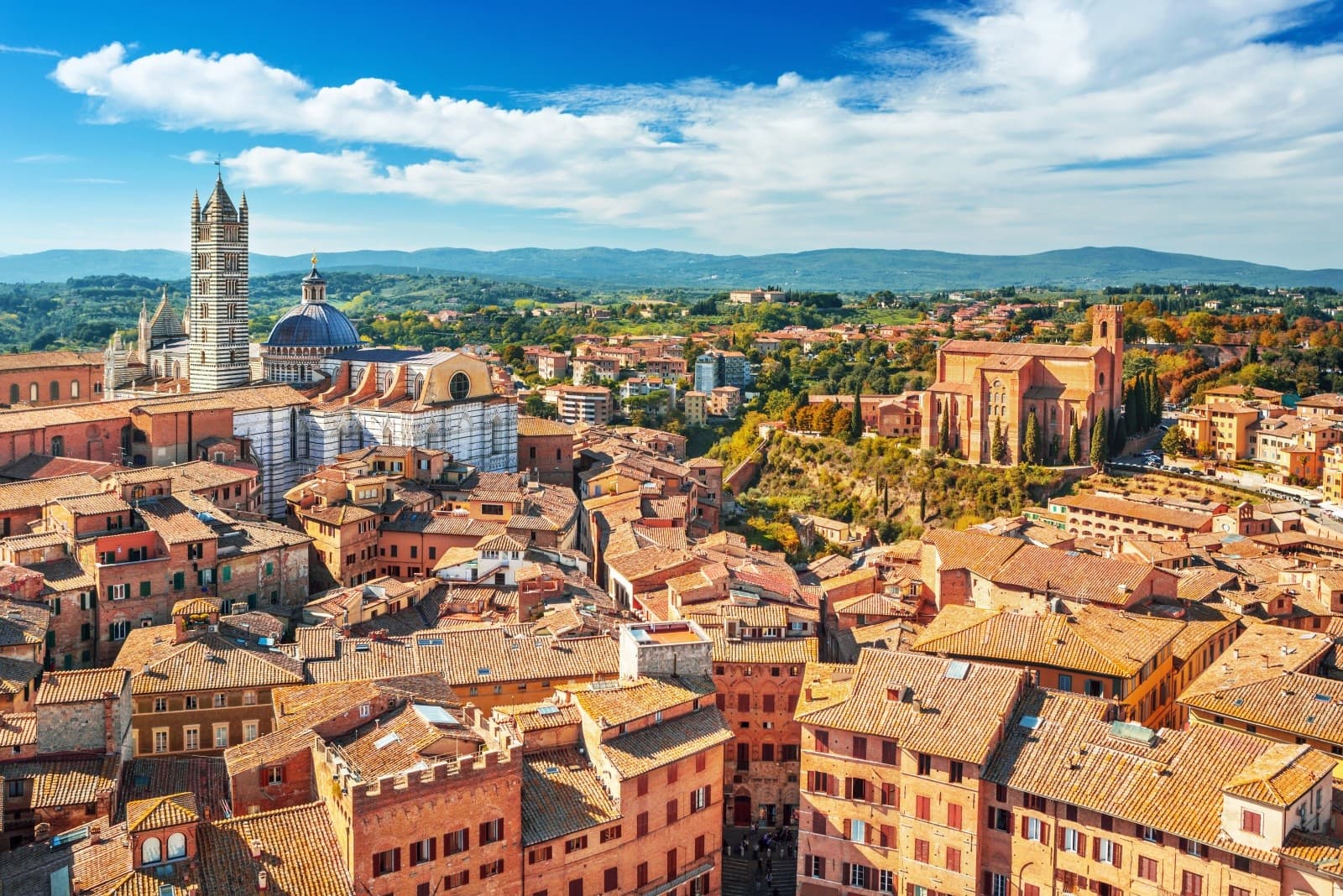 Let’s Andiamo Private Tours team