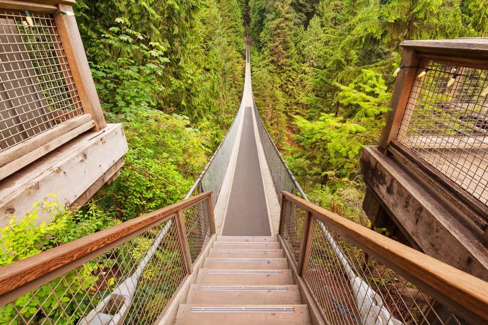 Long rainforest suspension bridge walkway with lush canopy views