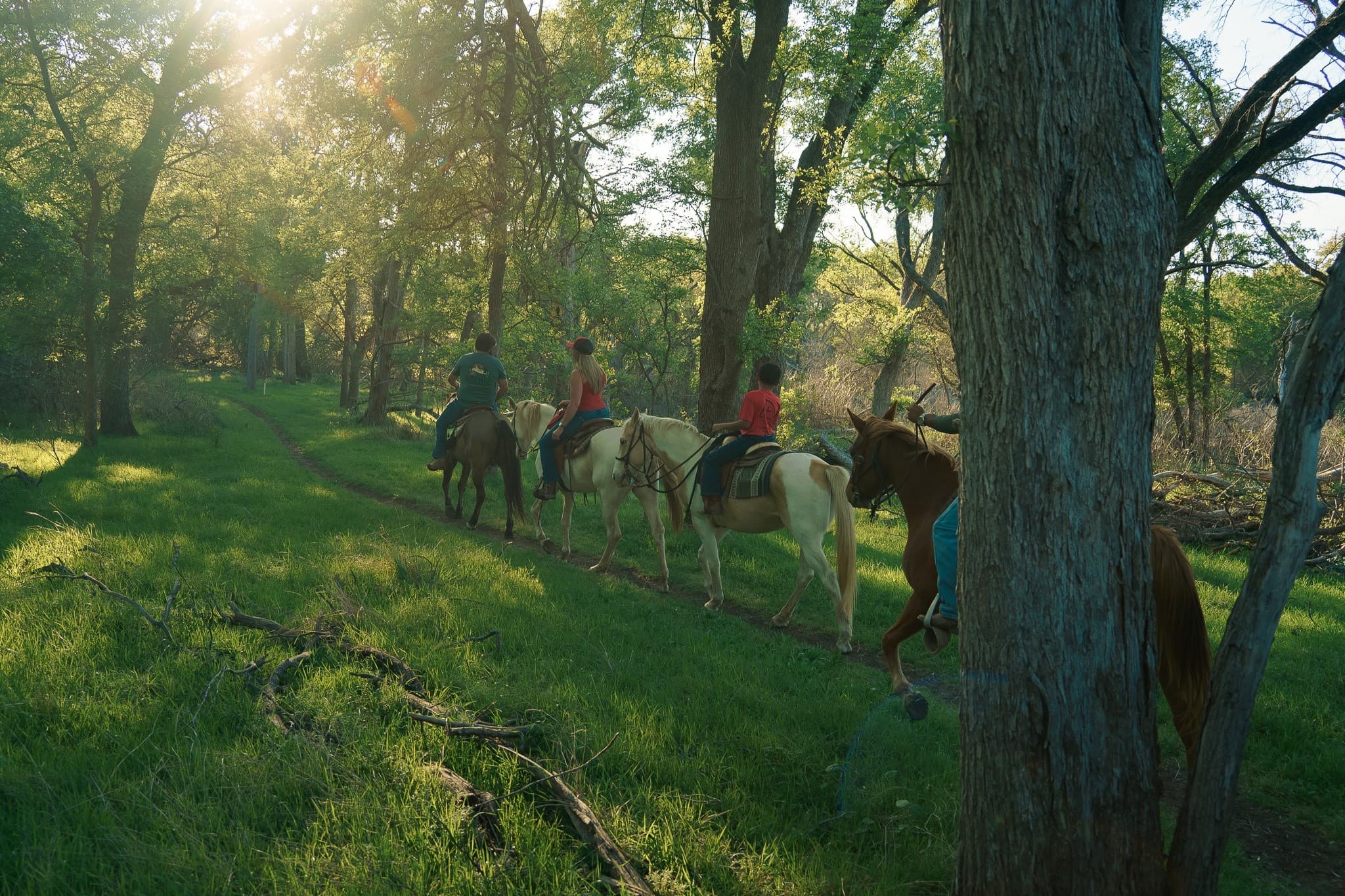 One-Hour Cameron Park Horseback Ride Along the Brazos River
