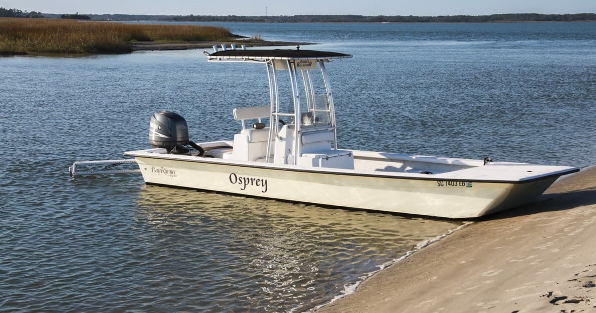 Dolphin & Wildlife Cruise with Sail Folly on Folly Beach