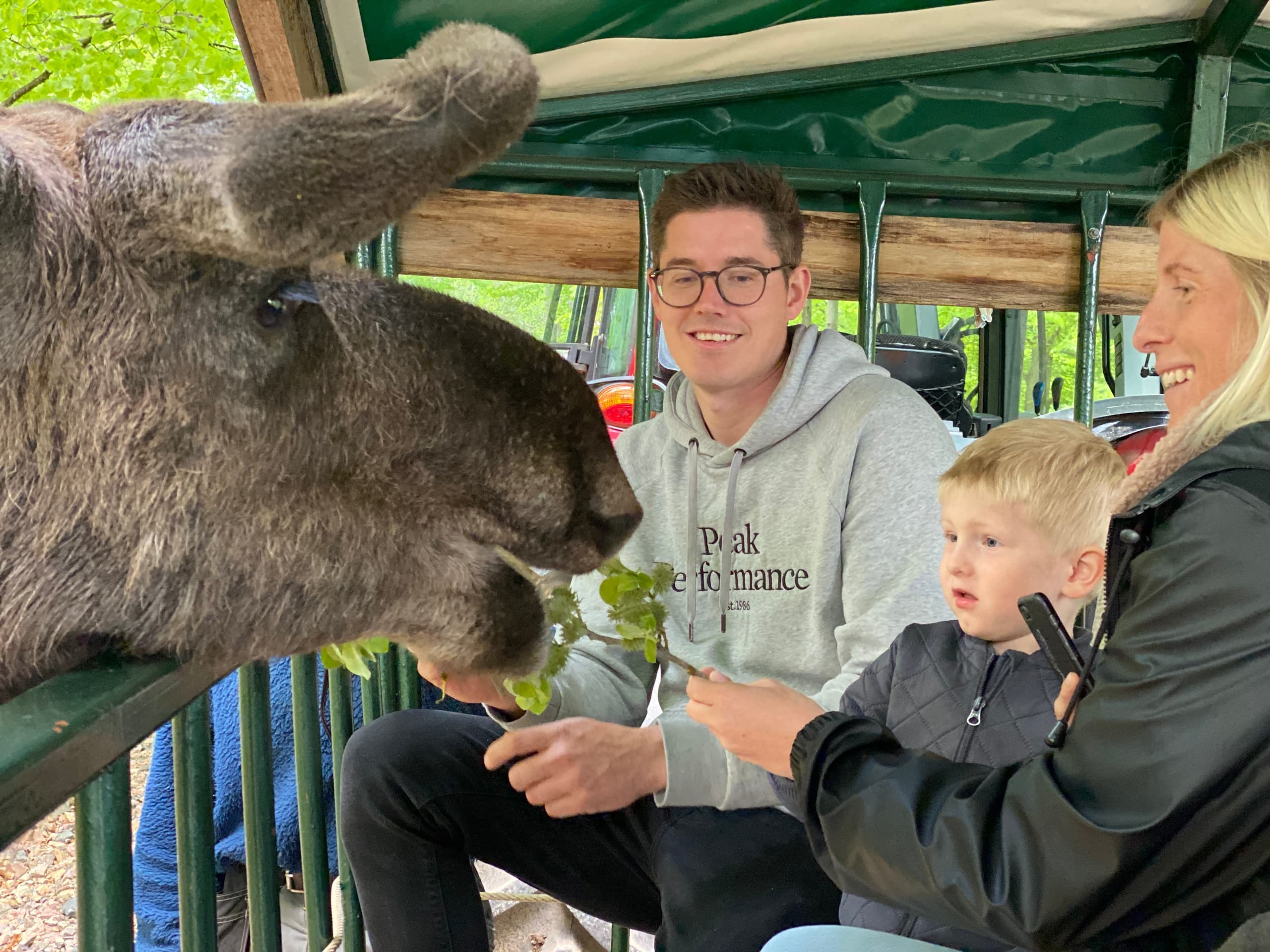 Visitors feeding a moose on a guided tram at Soderasens Moose Park