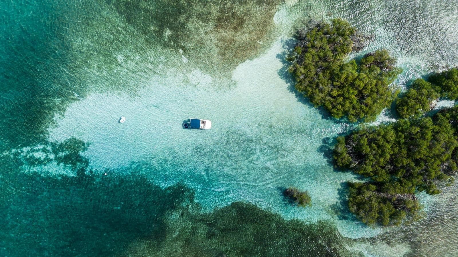 Aerial view of tropical mangrove lagoon with anchored boat
