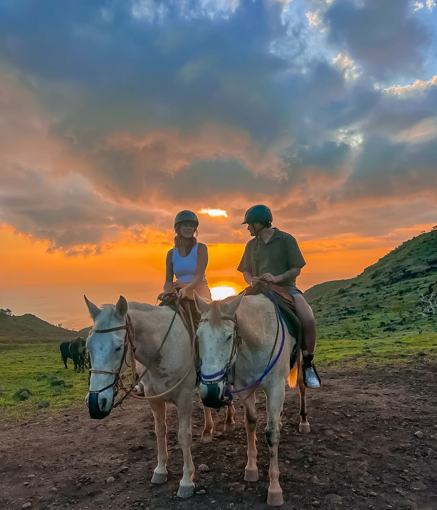 Sunset horseback ride on coastal hills with riders silhouetted