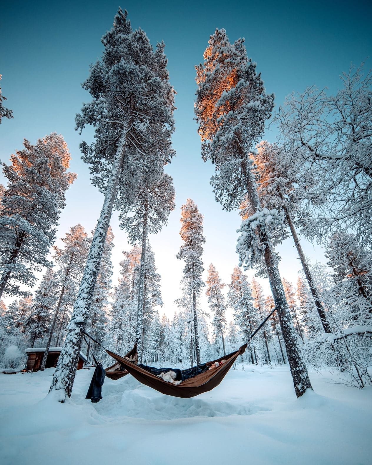 Arctic Cocooning with HaliPuu in Veitservasa, Finland