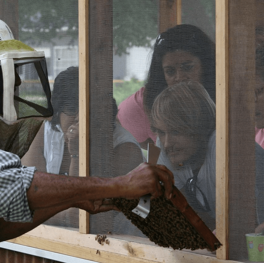Exclusive Private Hive Tour in Navasota, Texas: Up Close with Nature's Master Pollinators