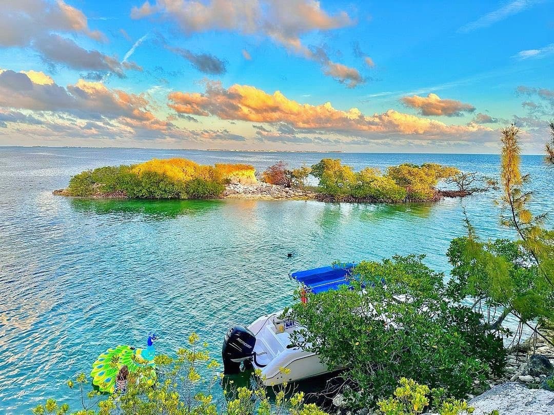 Water Activities & Salty Paws Key West LLC: Sunset Trip in Key West