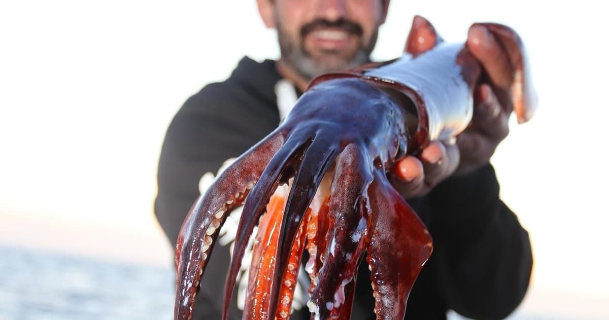 Big Game Trolling: Offshore Tuna and Mahi Mahi Fishing from Port d'Alcúdia