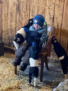 Bottle-Feed Baby Goats in Martintown: 30-Minute Farm Snuggle Experience photo 3
