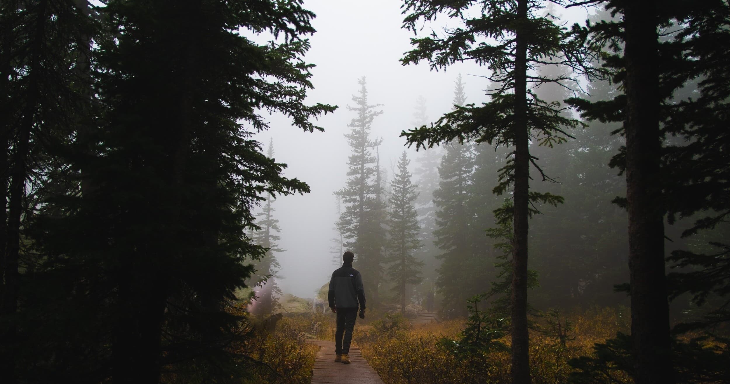 Wildlife & Land Adventures with Bigfoot Adventure Photo Tour