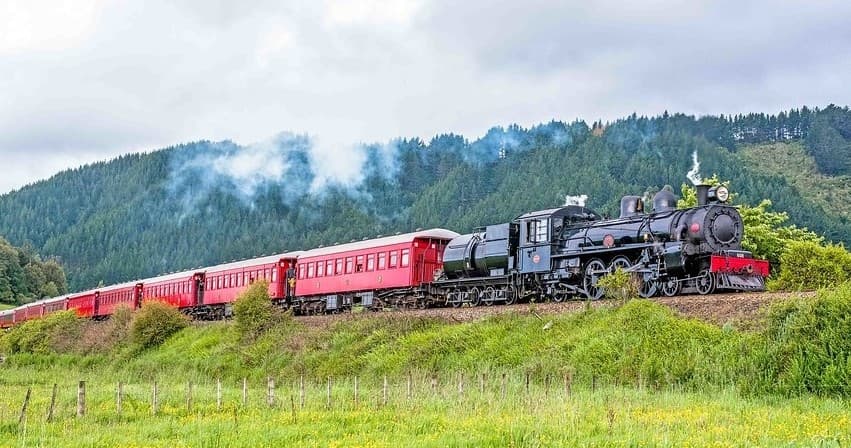 Steam Incorporated fleet