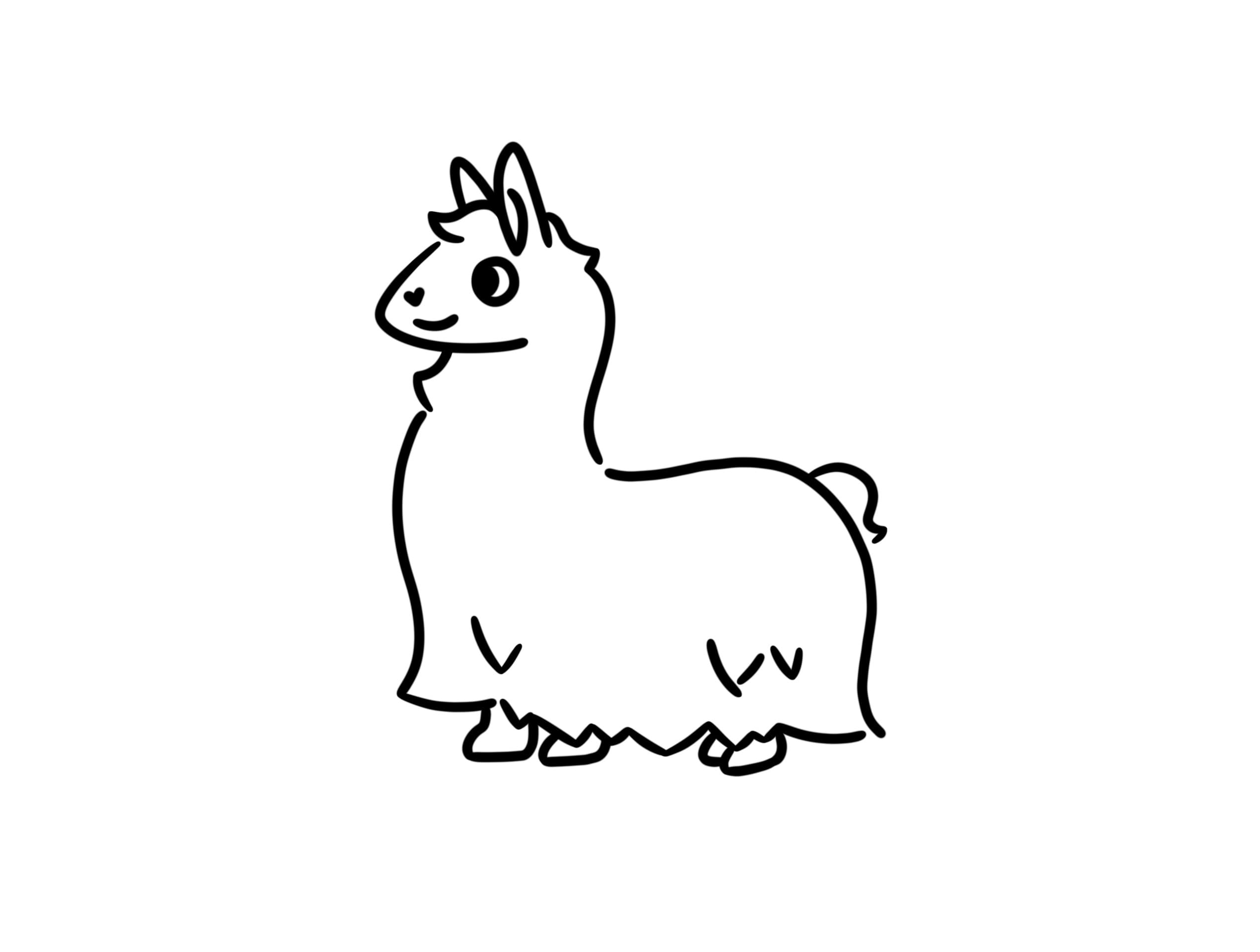 Wildlife & Nature: Llama Sanctuary Experience in Pembrokeshire