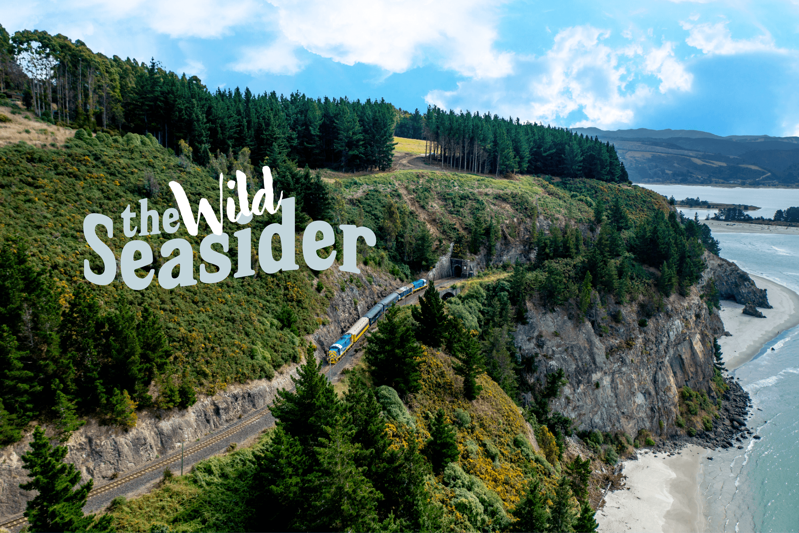 Coastal Geology by Rail: The Wild Seasider Volcano Express from Dunedin