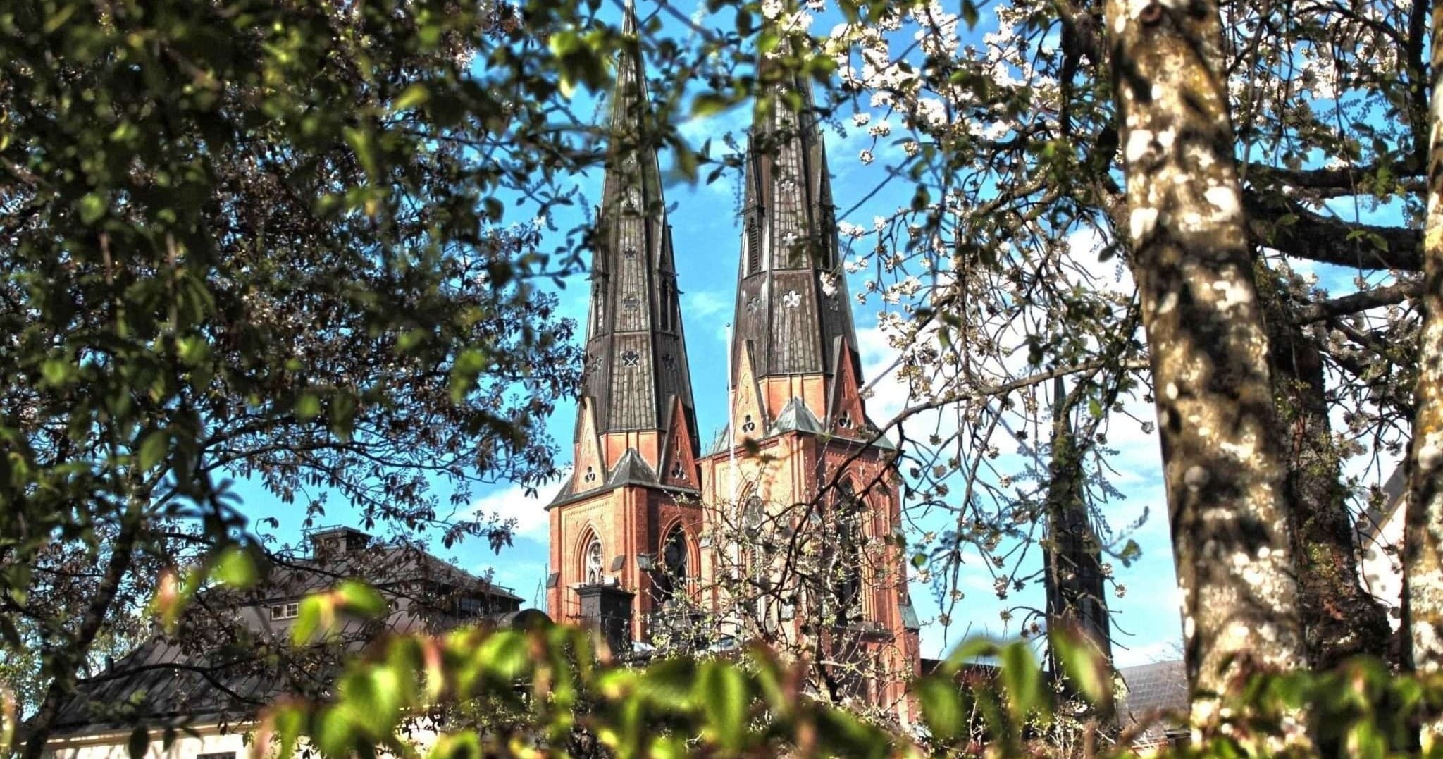 Uppsala History Tour with Stockholmania Tours