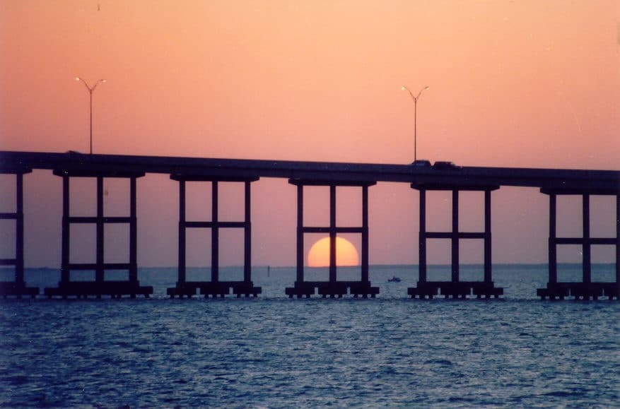 Sunset Dolphin Cruise with SPI Dolphin Docks Inc