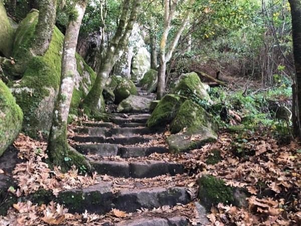 Explore Sintra’s Magical Hiking Trails: Moorish Castle to Pena Palace Park
